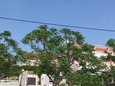 Apartment One bedroom apartment near beach Metajna, Pag A-6522-a - Outdoor photo 4