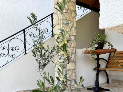 Apartment Two bedroom apartment near beach Potočnica, Pag A-222-b - Outdoor photo 16