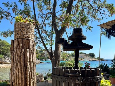 Apartment One bedroom apartment near beach Potočnica, Pag A-222-d - Outdoor photo 15