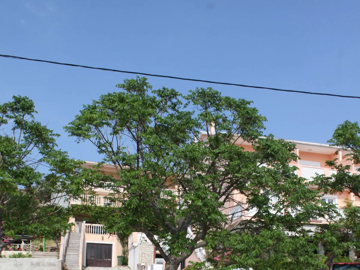 Apartment One bedroom apartment near beach Metajna, Pag A-6522-e - Outdoor photo 5