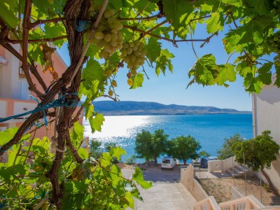 Apartment One bedroom apartment near beach Metajna, Pag A-6522-h - Outdoor photo 19