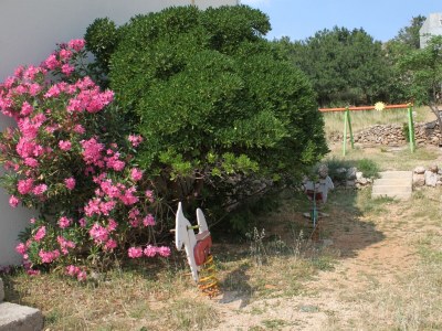 Apartment One bedroom apartment near beach Metajna, Pag A-6522-i - Outdoor photo 9