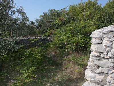 Apartment Two bedroom apartment with balcony and sea view Maslinica, Šolta A-5184-a - Outdoor photo 10