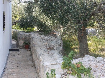 Apartment Two bedroom apartment with balcony and sea view Maslinica, Šolta A-5184-a - Outdoor photo 11