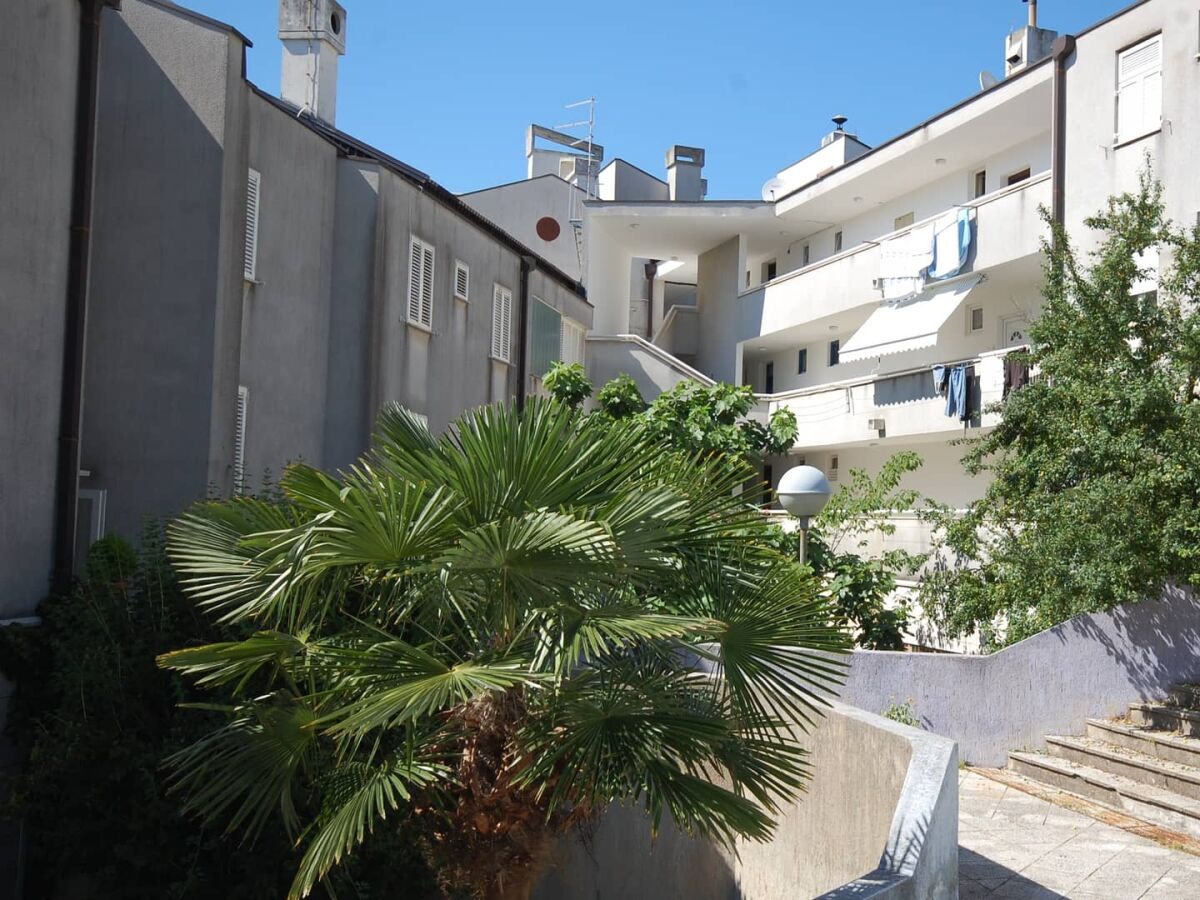 Apartment One bedroom apartment with terrace Njivice, Krk A-21866-a - Outdoor photo 2