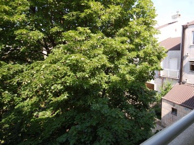 Apartment One bedroom apartment with terrace Njivice, Krk A-21866-a - Outdoor photo 19