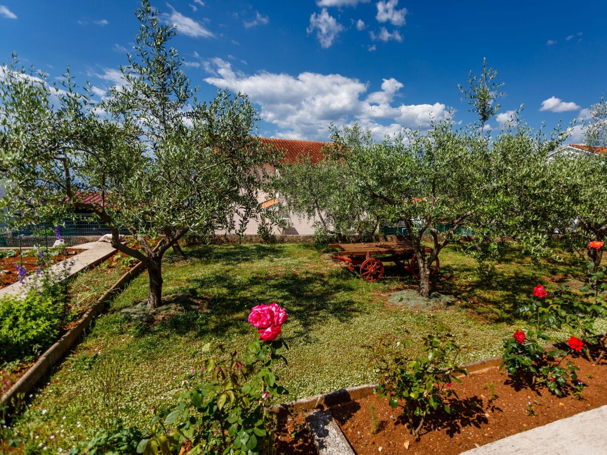 Apartment Studio flat with balcony and sea view Njivice, Krk AS-20505-a - Outdoor photo 3