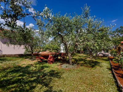 Apartment Studio flat with balcony and sea view Njivice, Krk AS-20505-a - Outdoor photo 4