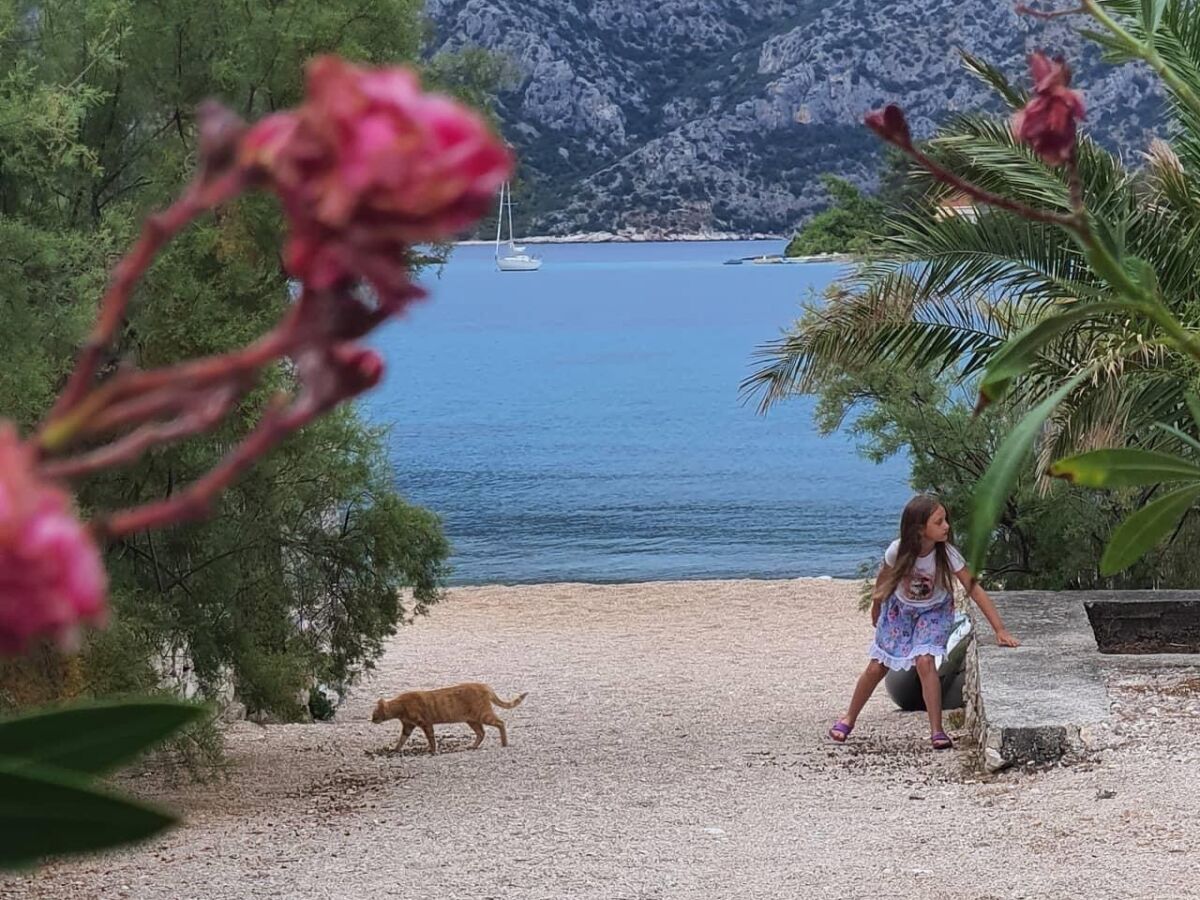 Apartment Two bedroom apartment near beach Kneža, Korčula A-168-a - Outdoor photo 3