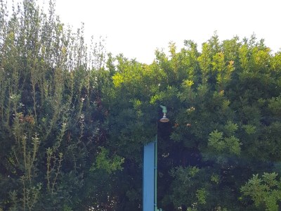 Apartment Two bedroom apartment near beach Kneža, Korčula A-168-b - Outdoor photo 10