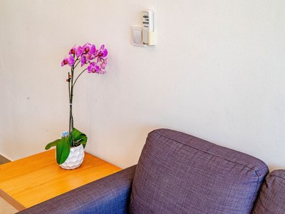 Apartment Two bedroom apartment near beach Kneža, Korčula A-168-b - Outdoor photo 13