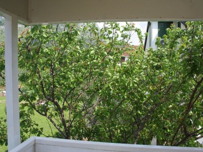 Apartment Studio flat with terrace Zaostrog, Makarska AS-2663-a - Outdoor photo 10