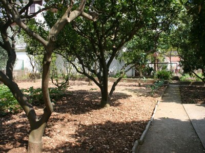 Apartment One bedroom apartment with balcony Zaostrog, Makarska A-2661-a - Outdoor photo 5