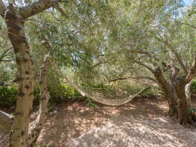 Apartment Two bedroom apartment with terrace Brela, Makarska A-20186-a - Outdoor photo 10