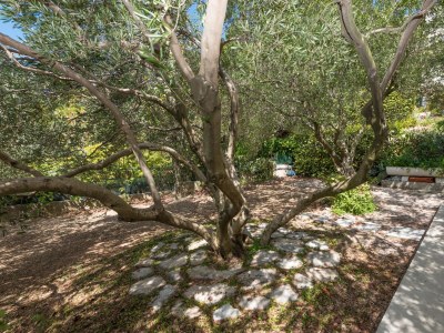 Apartment Two bedroom apartment with terrace Brela, Makarska A-20186-a - Outdoor photo 11