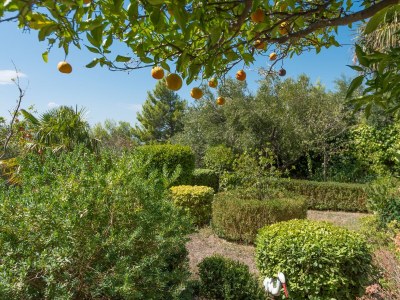 Apartment Two bedroom apartment with terrace Brela, Makarska A-20186-a - Outdoor photo 12