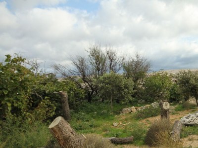Apartment Two bedroom apartment near beach Kustići, Pag A-6376-j - Outdoor photo 19