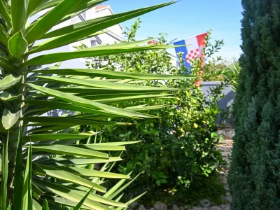 Apartment Studio flat with terrace and sea view Bibinje, Zadar AS-18066-a - Outdoor photo 13