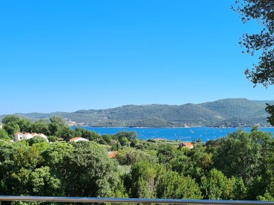 Apartment One bedroom apartment with terrace and sea view Viganj, Pelješac A-21912-b - Outdoor photo 13