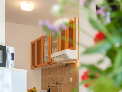 Apartment One bedroom apartment with air-conditioning Sumartin, Brač A-2952-a - Outdoor photo 14