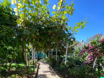 Apartment Apartments and rooms with parking space Rovinj - 23148 - Outdoor photo 24