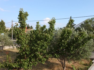 Apartment Two bedroom apartment with terrace and sea view Maslenica, Novigrad A-6573-b - Outdoor photo 18