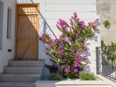 Villa Villa Florinda with Pool and Gym near Split - Outdoor photo 16
