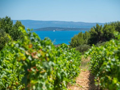 Villa Villa Vinea Vista - Environment photo 31