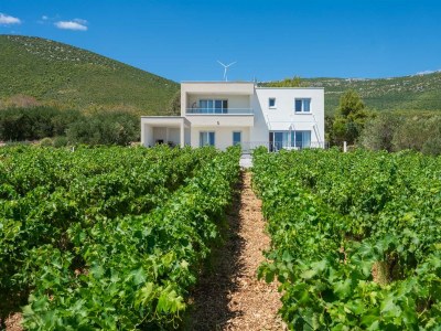 Villa Villa Vinea Vista - Environment photo 35