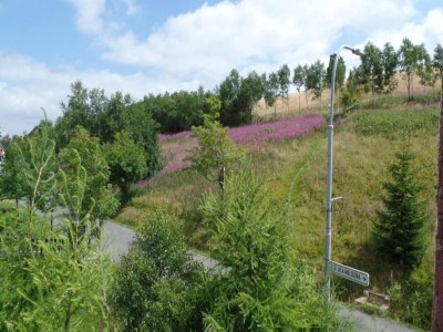 Chalet Holiday Home near Klínovec Ski Lift - Environment photo 22