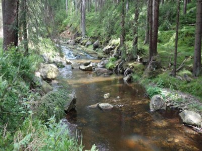Chalet Holiday Home near Klínovec Ski Lift - Environment photo 30