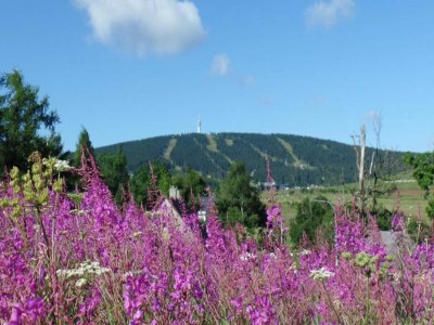 Chalet Holiday Home near Klínovec Ski Lift - Environment photo 33