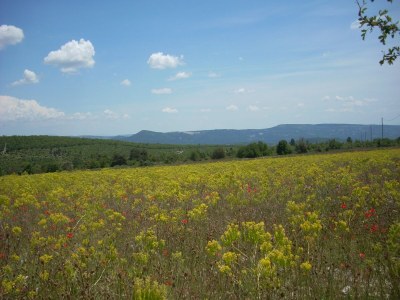 Apartment Studio in Montbrun Castle with Pool - Environment photo 32