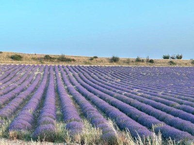 Apartment Studio in Montbrun Castle with Pool - Environment photo 34