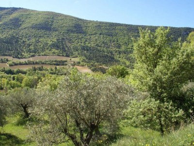 Apartment Château Luxury Stay Montbrun - Environment photo 25