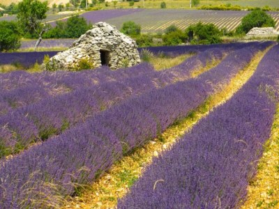 Apartment Château Luxury Stay Montbrun - Environment photo 30