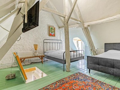 Farmhouse Spacious farmhouse with garden in Val de Loire - Features photo 18