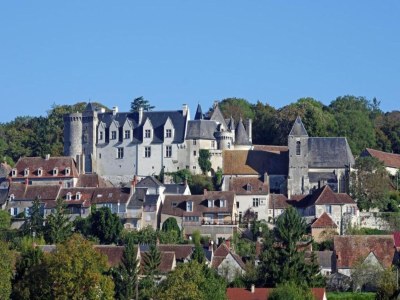 Farmhouse Spacious farmhouse with garden in Val de Loire - Environment photo 29