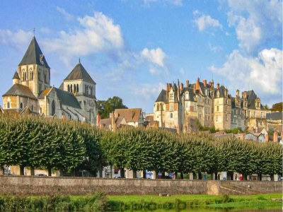 Farmhouse Spacious farmhouse with garden in Val de Loire - Environment photo 30