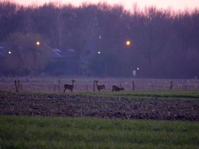 Holiday house Familienbungalow mit privatem Garten - Environment photo 21