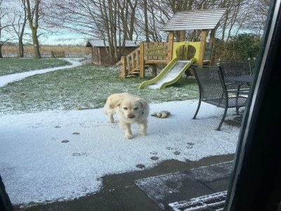 Holiday house Familienbungalow mit privatem Garten - Environment photo 23