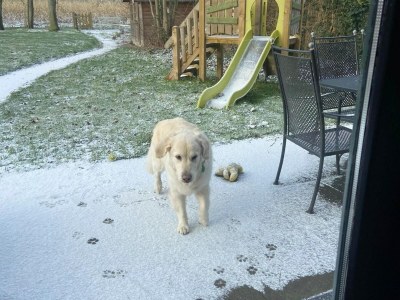 Holiday house Familienbungalow mit privatem Garten - Environment photo 25