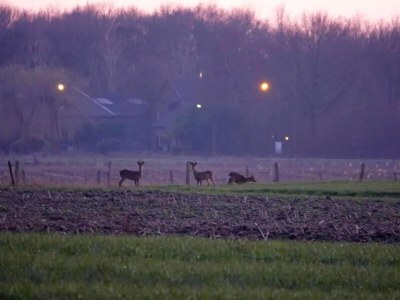 Holiday house Familienbungalow mit privatem Garten - Environment photo 27