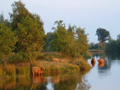 Holiday park Charming Tiny House Getaway with Terrace. - Environment photo 22