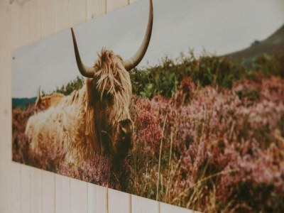 Holiday park Charming Tiny House Getaway with Terrace. - Outdoor photo 38