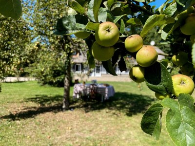 Holiday house Clos de Leger - Environment photo 30