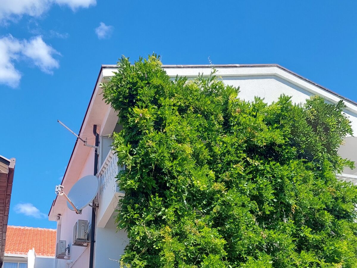 Apartment Two bedroom apartment with terrace and sea view Podaca, Makarska A-312-c - Outdoor photo 3