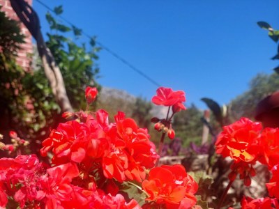 Apartment Two bedroom apartment with terrace and sea view Podaca, Makarska A-312-c - Outdoor photo 9