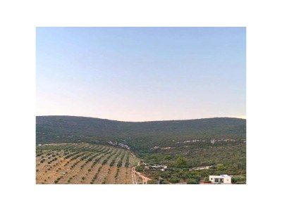 Holiday house Two bedroom house near beach Cove Zuborovica, Pašman K-321 in Pasman - Holiday house