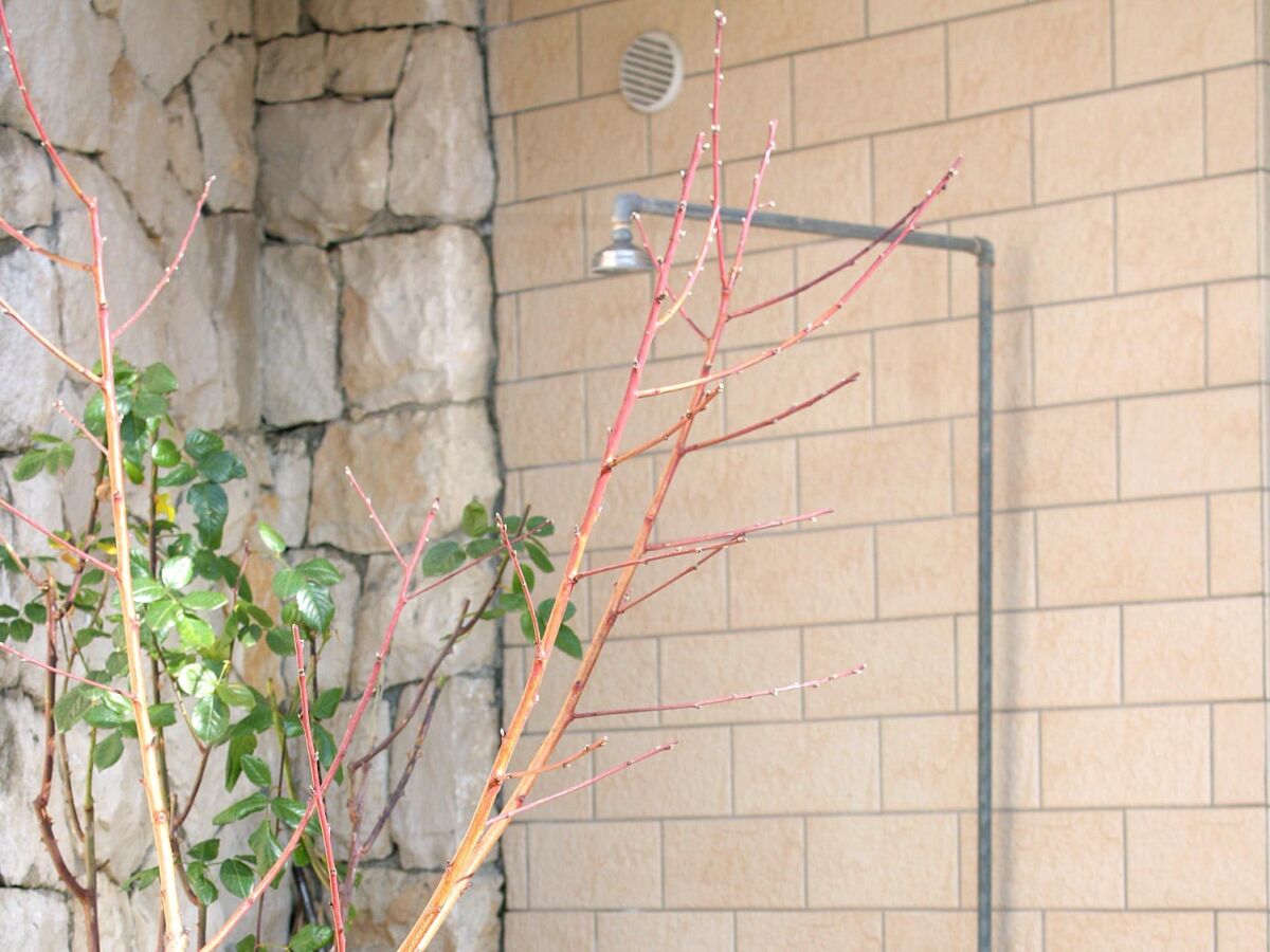 Apartment One bedroom apartment with balcony and sea view Marušići, Omiš A-962-b - Outdoor photo 5